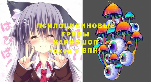 ECSTASY Новодвинск