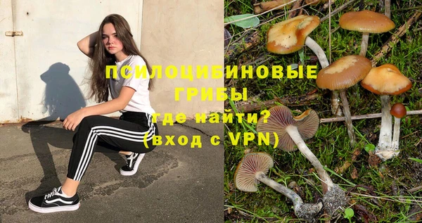 apvp Нефтекумск