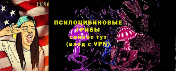 ECSTASY Новодвинск