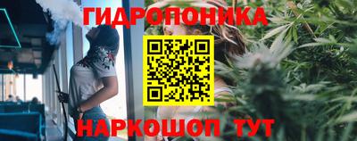 экстази Будённовск