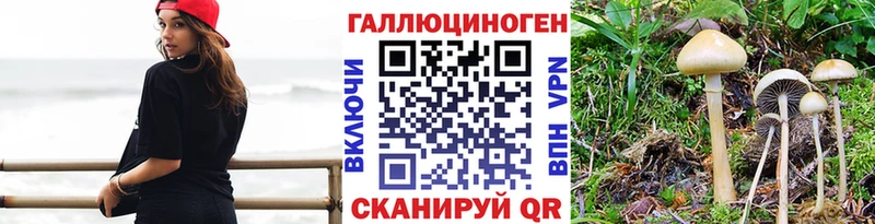 Галлюциногенные грибы Magic Shrooms  omg ONION  Павловский Посад 