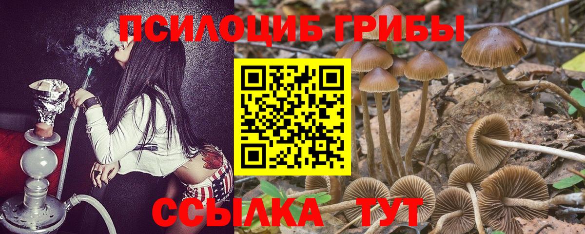 Галлюциногенные грибы MAGIC MUSHROOMS  закладка  Павловский Посад  Вход с VPN 