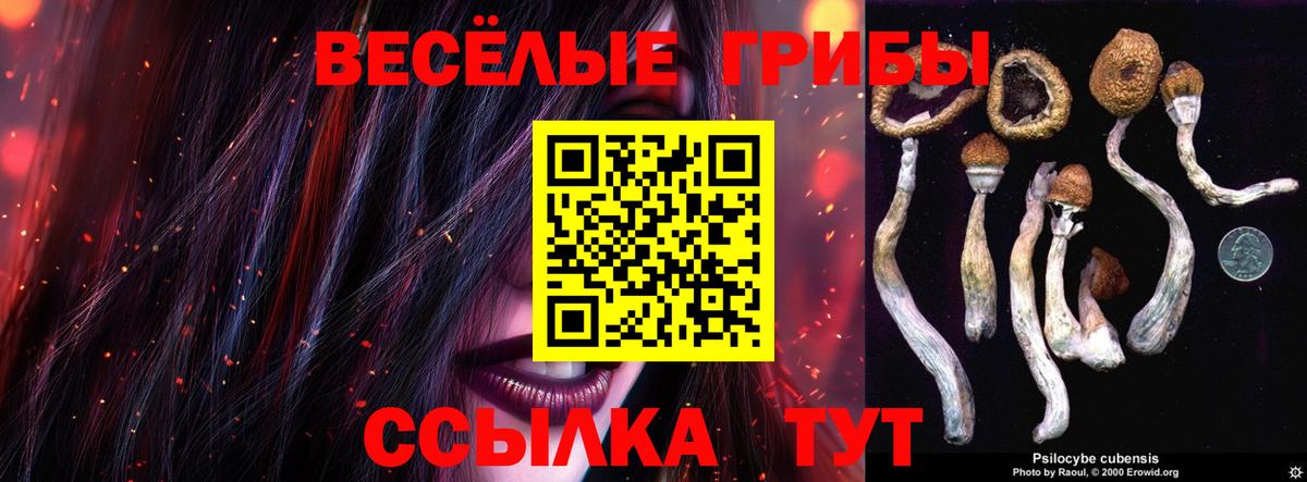 Галлюциногенные грибы прущие грибы Павловский Посад